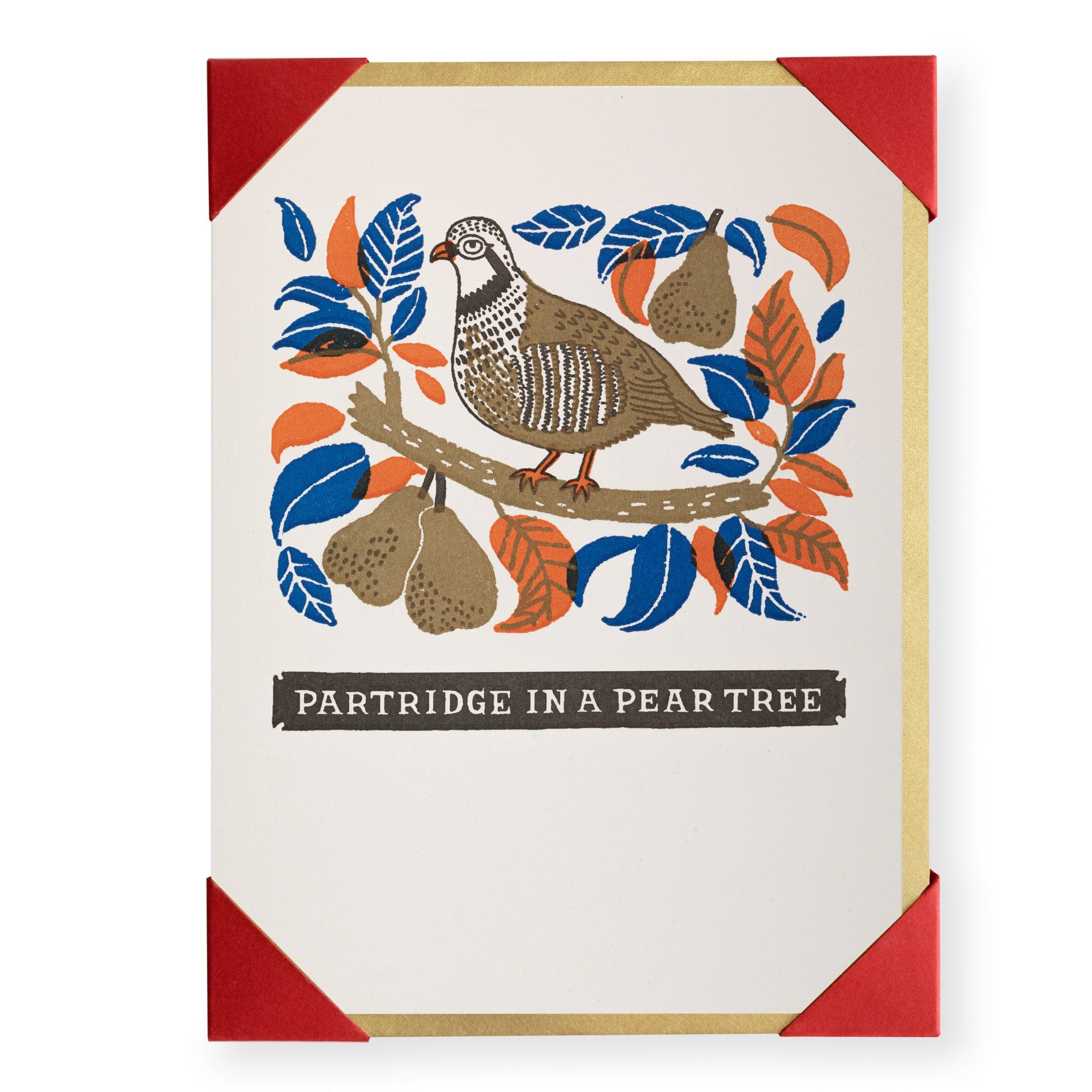 Pack Of 5 Christmas Cards by Archivist Partrdge In A Pear Tree