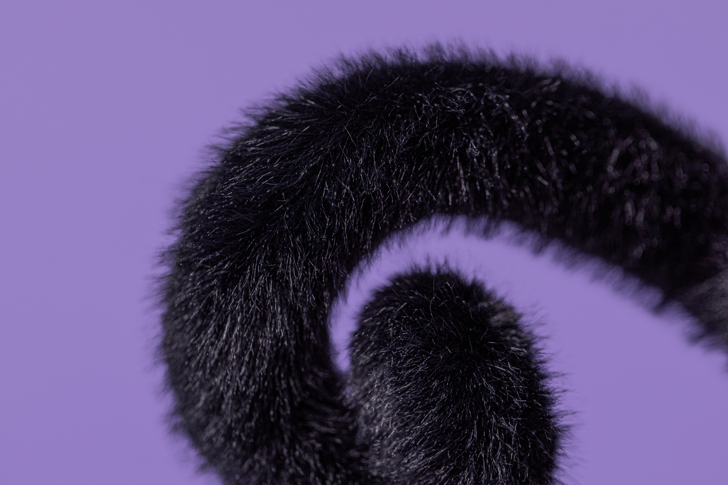 Jellycat Spookipaws Cat