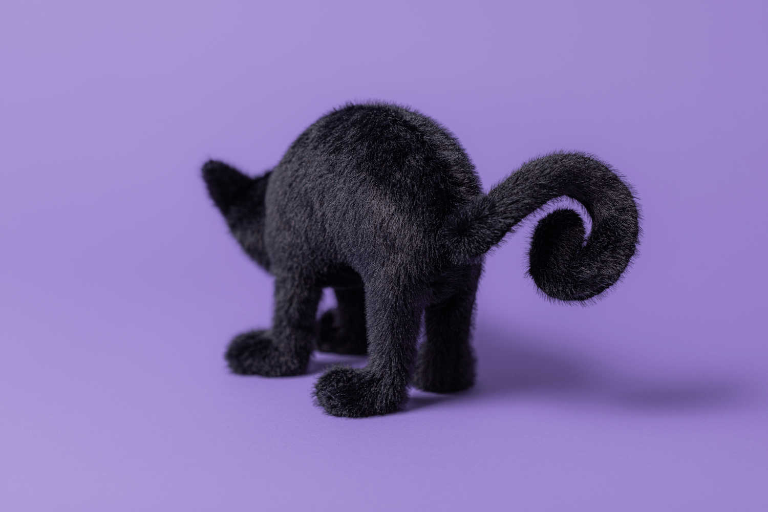 Jellycat Spookipaws Cat