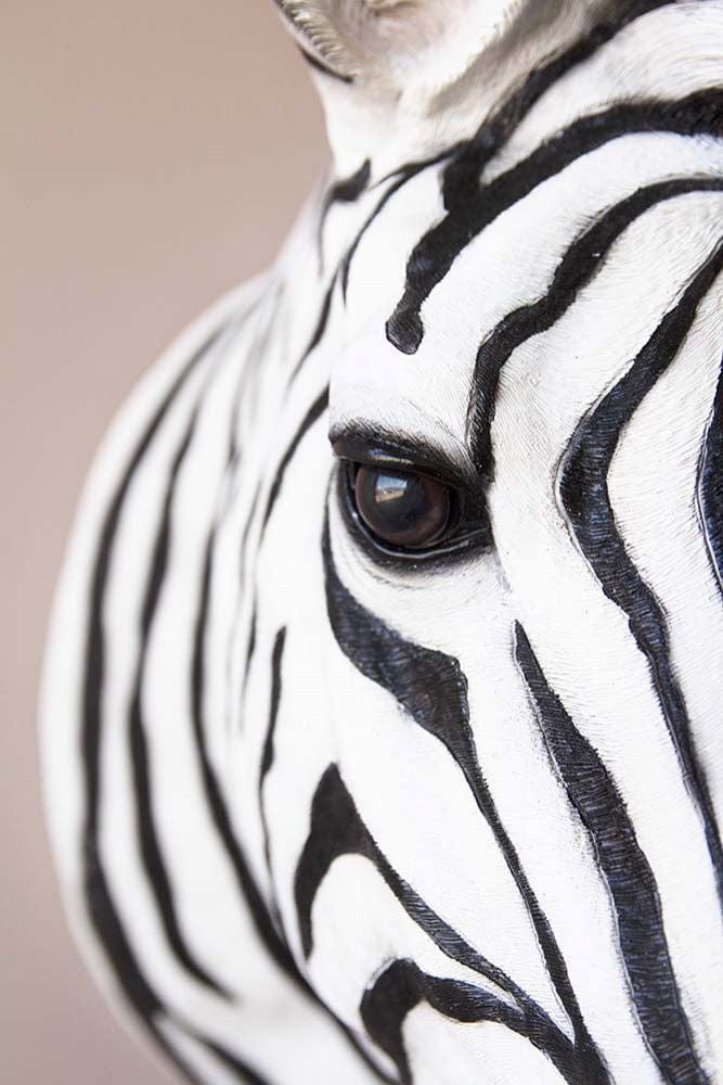ZEBRA HEAD WALL DECOR
