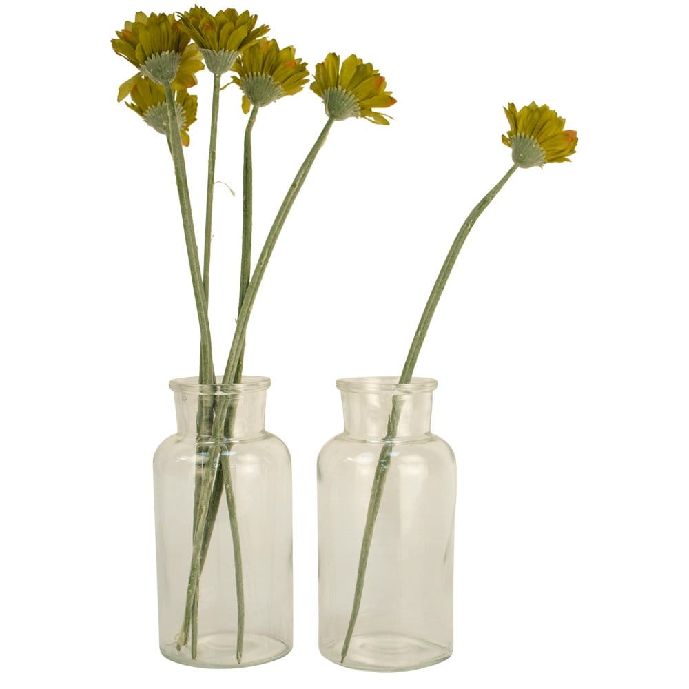 Mini Botanical Jar, Medium