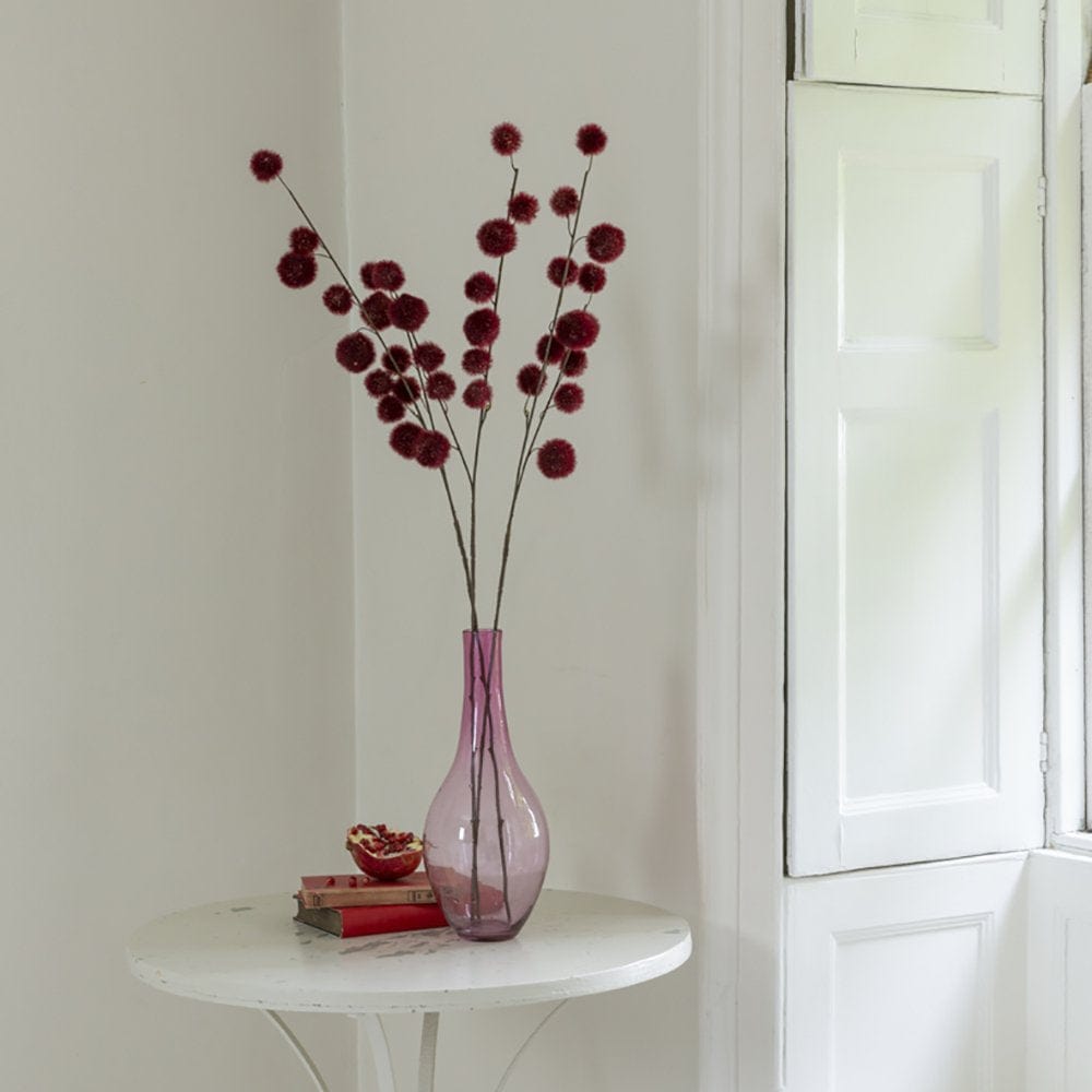 Craspedia stem, Dark Red