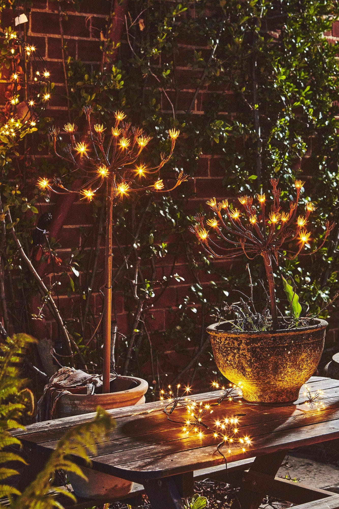 Solar Stake Light, Wild Fennel