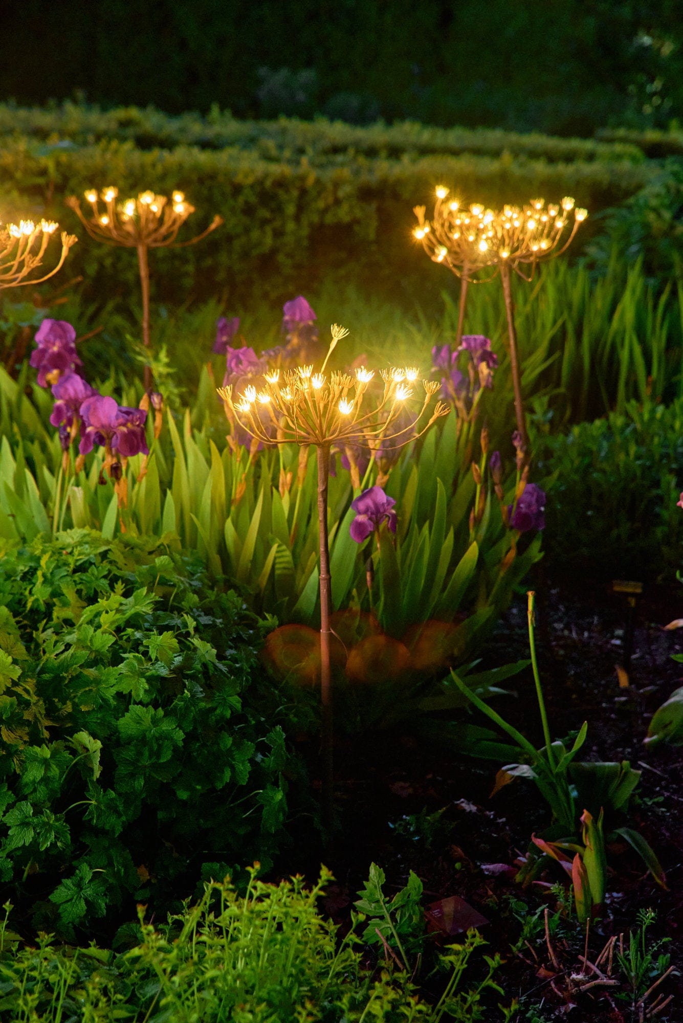 Solar Stake Light, Wild Fennel