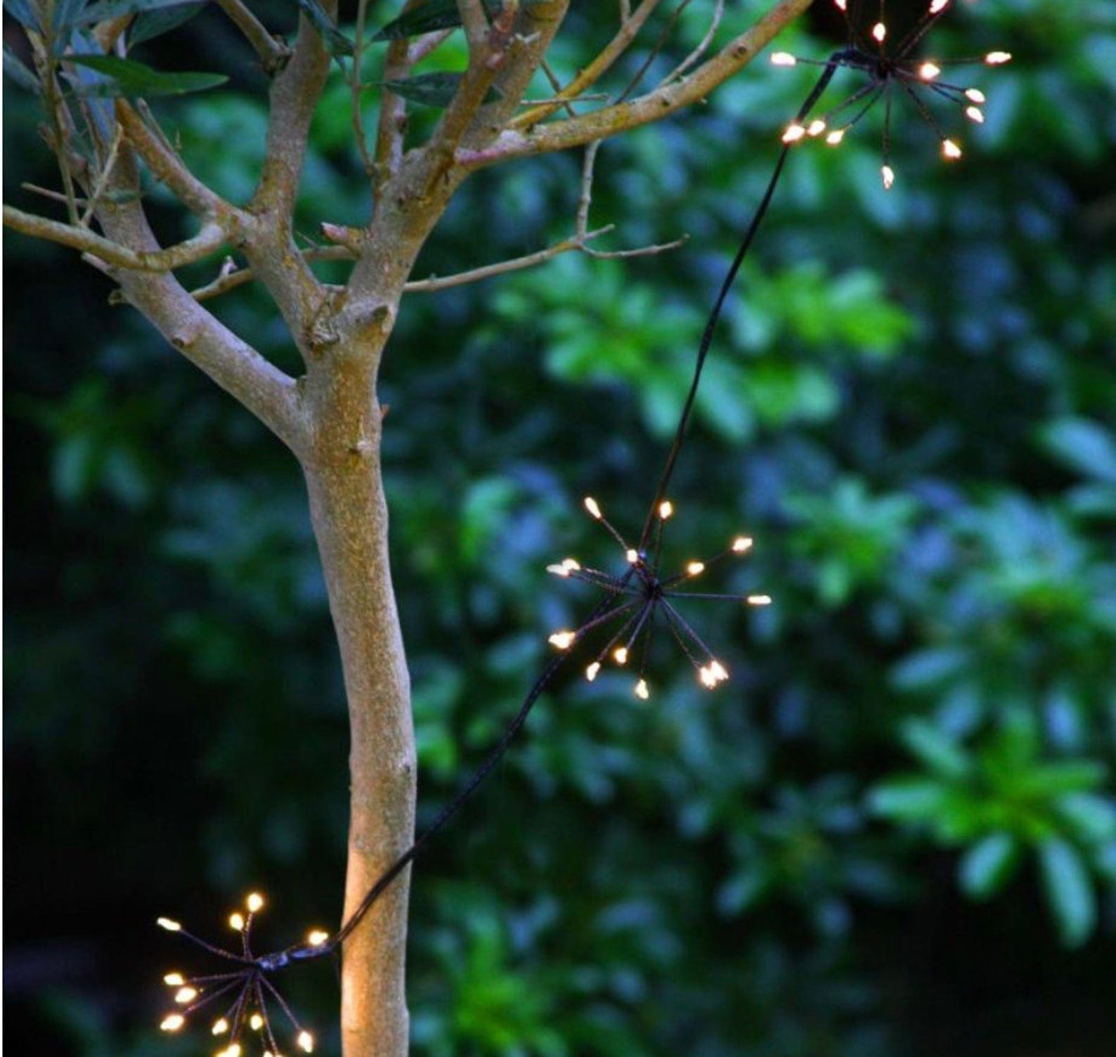 Starburst Indoor/Outdoor Light Chain Black, Mains Powered