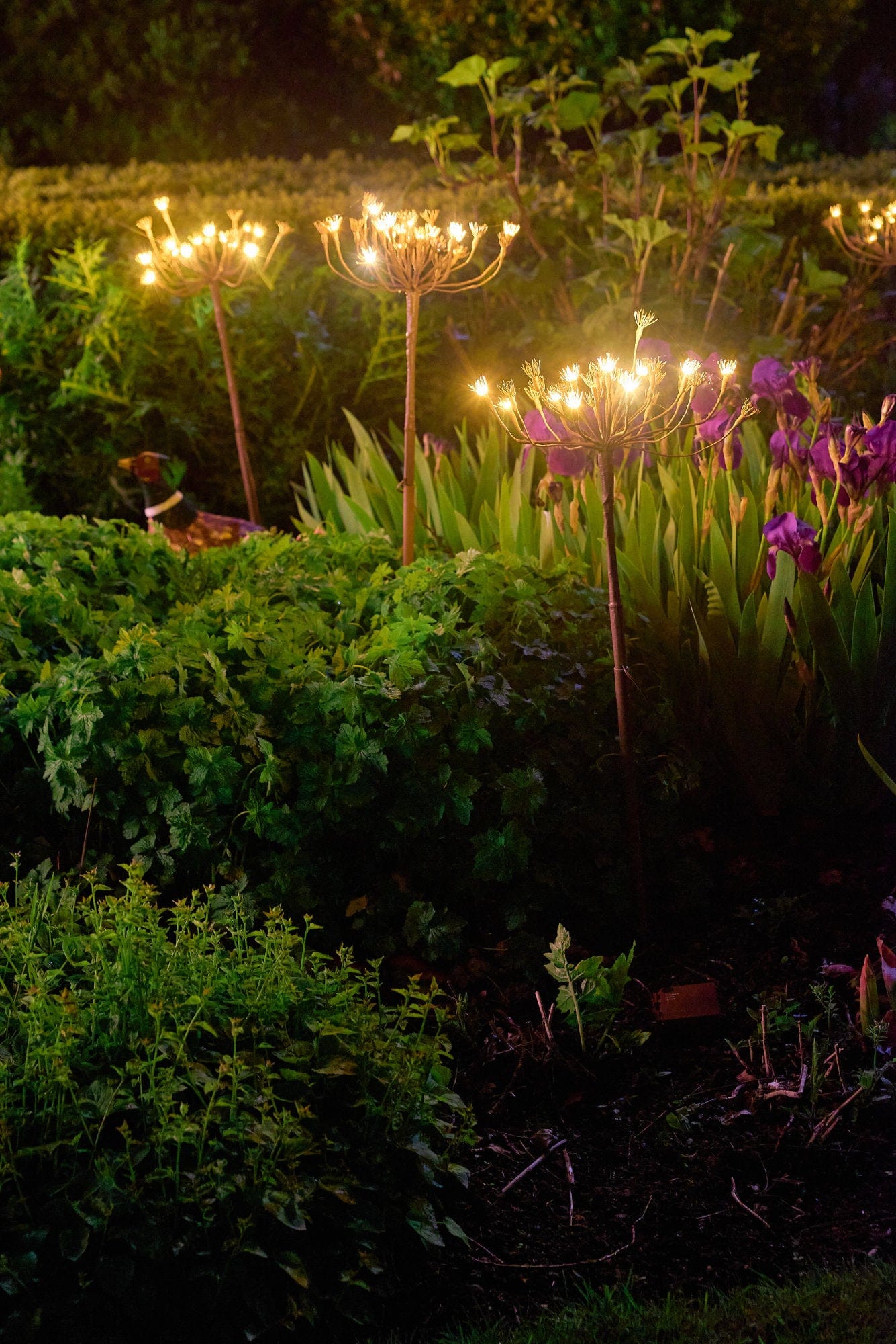 Solar Stake Light, Wild Fennel