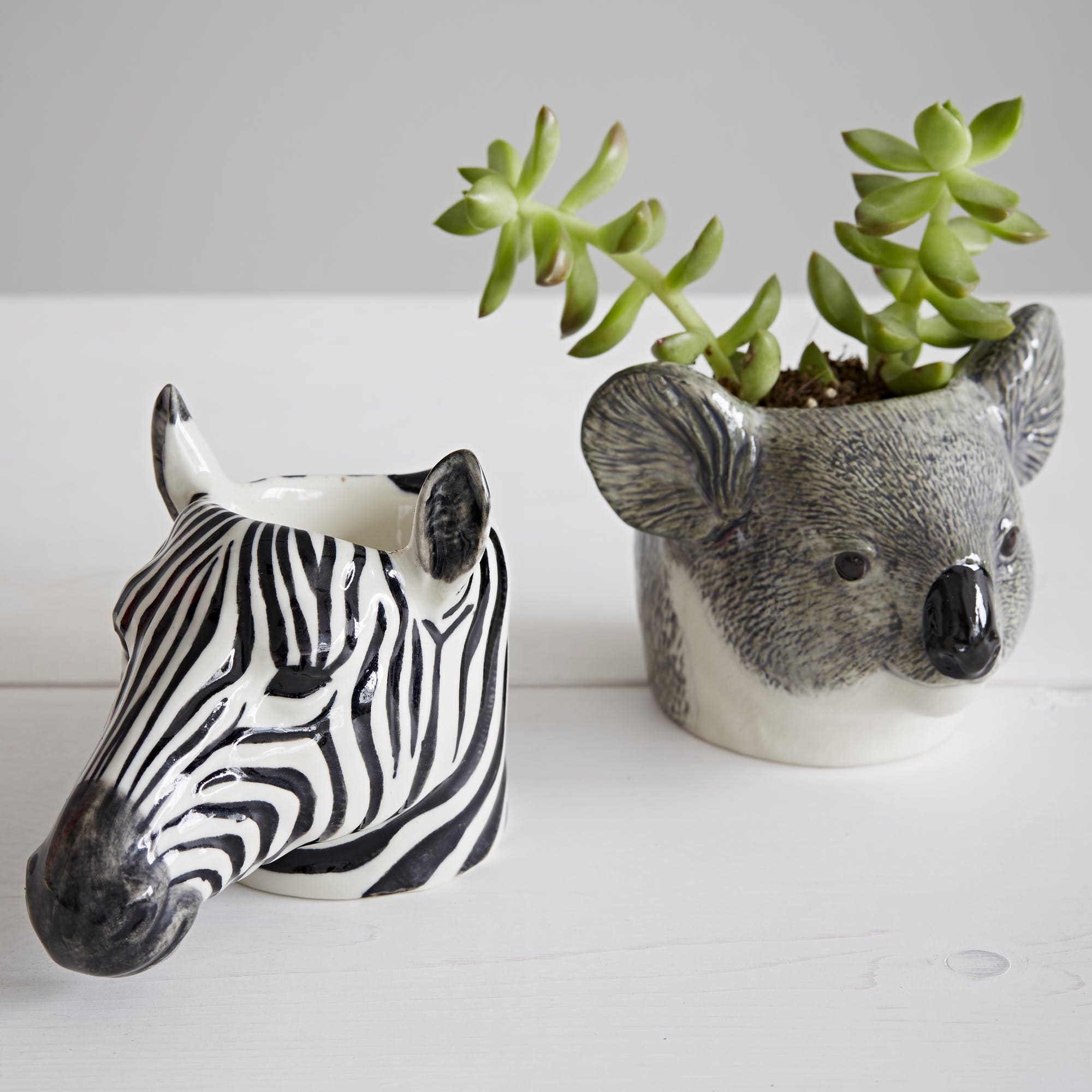 Zebra Face Egg Cup