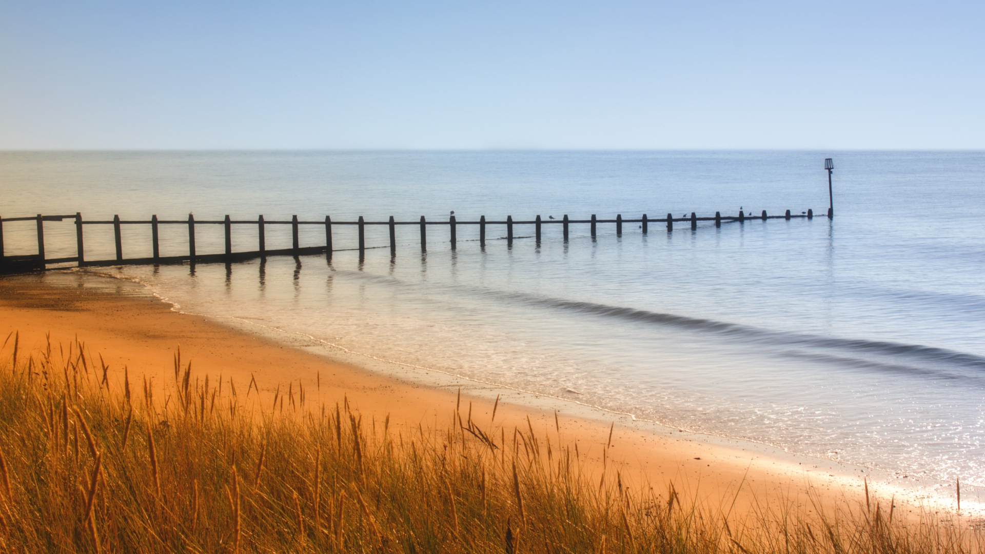 Great Walks Less Than an Hour from Exeter