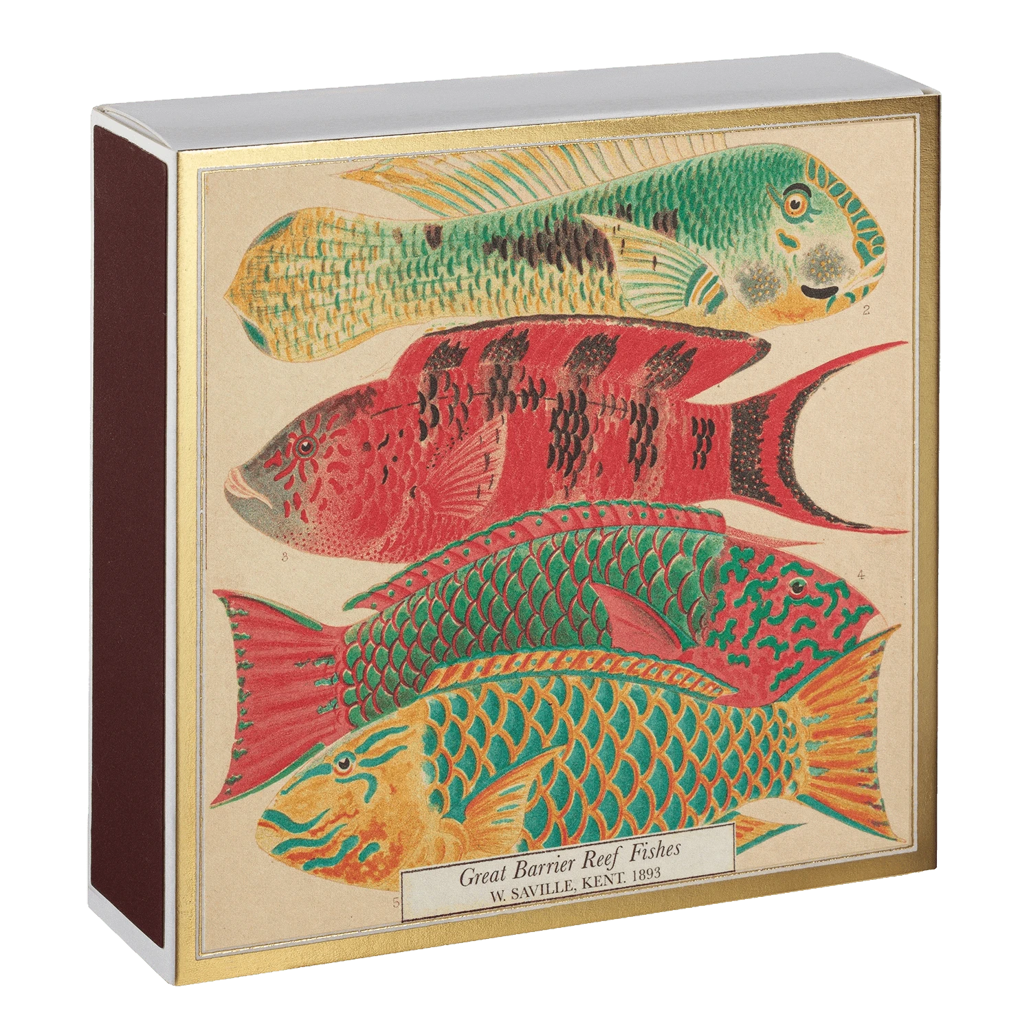 Square Luxury Match Box Fish
