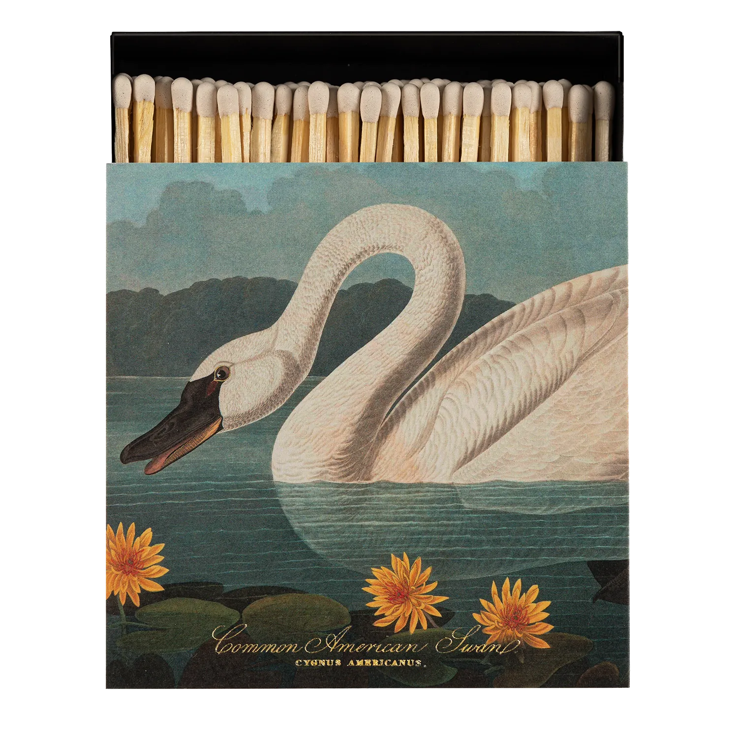 Square Luxury Match Box Common American Swan