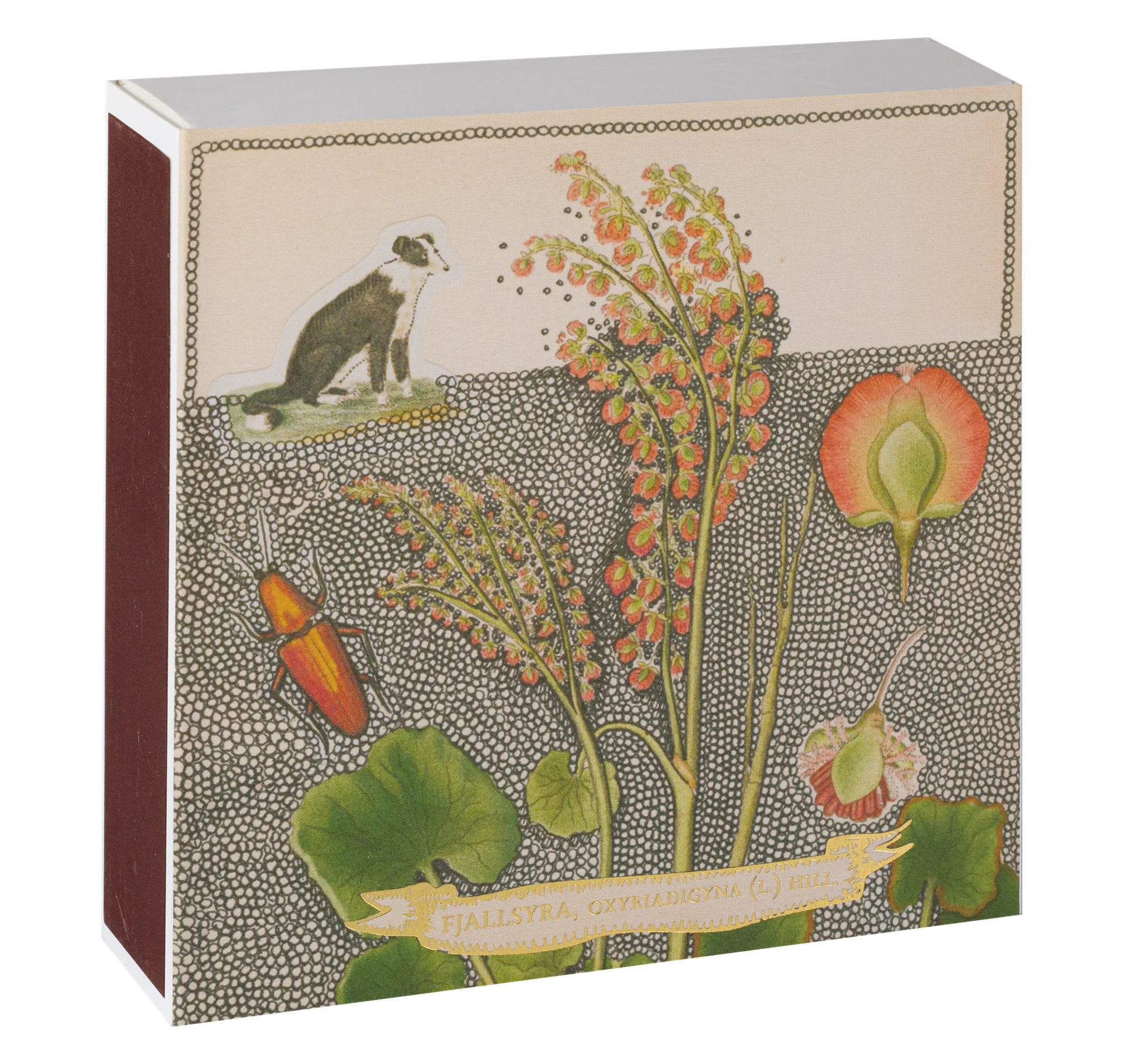Square Luxury Match Box Chien Botanical Drawing