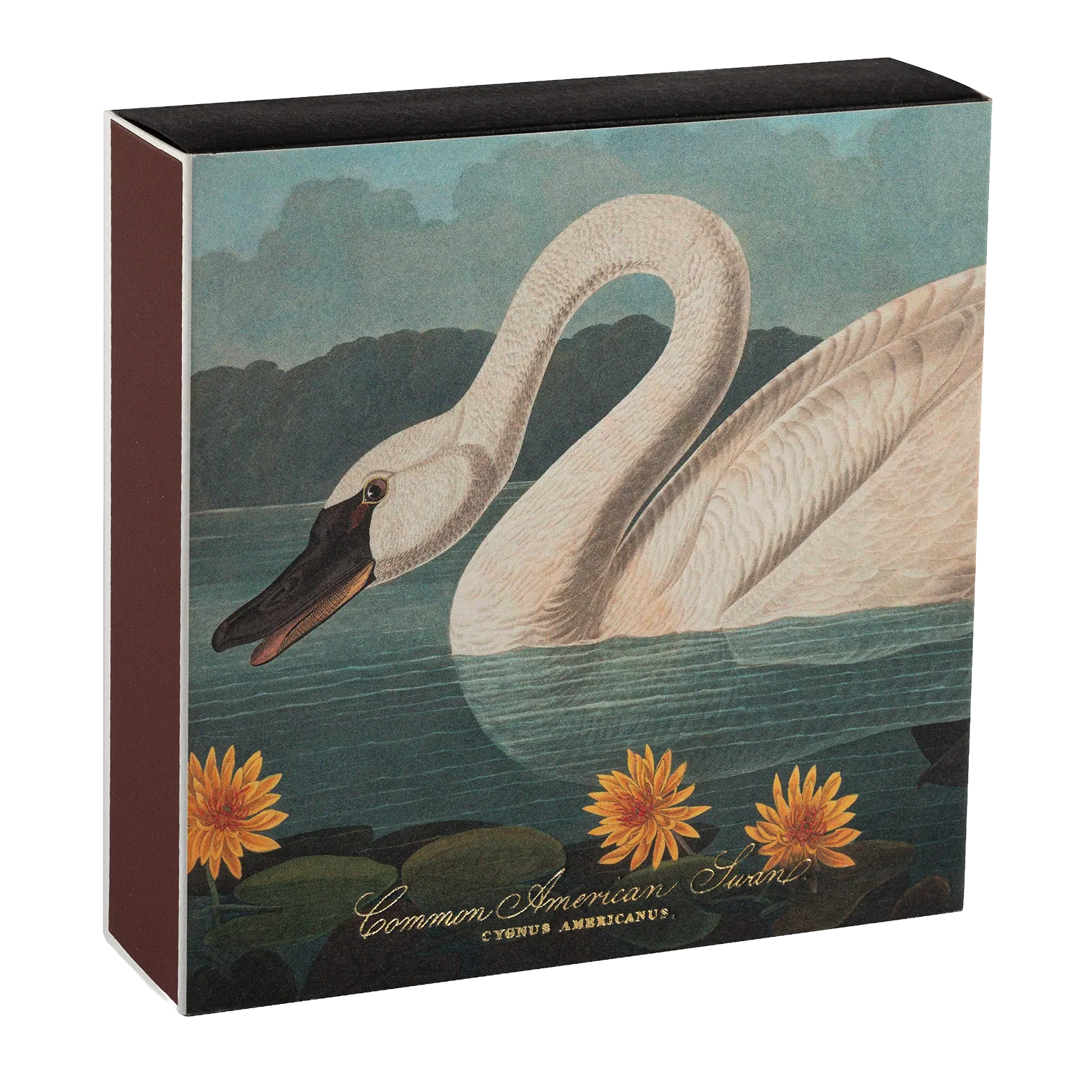 Square Luxury Match Box Common American Swan