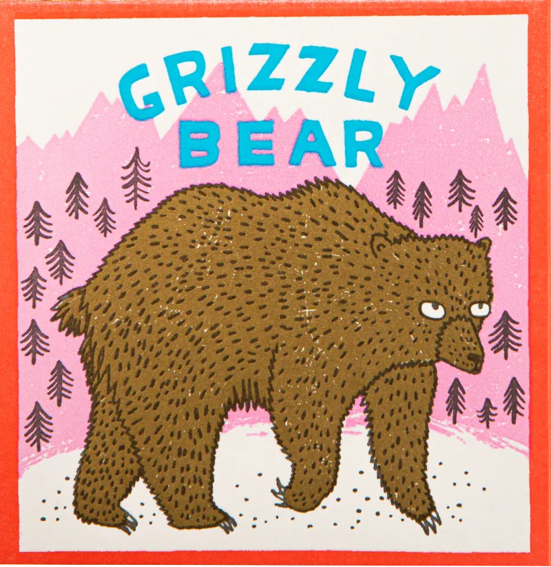 Square Luxury Match Box Grizzly Bear