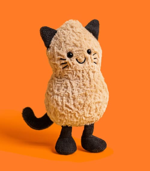 Jellycat Amuseables Peanut Cat