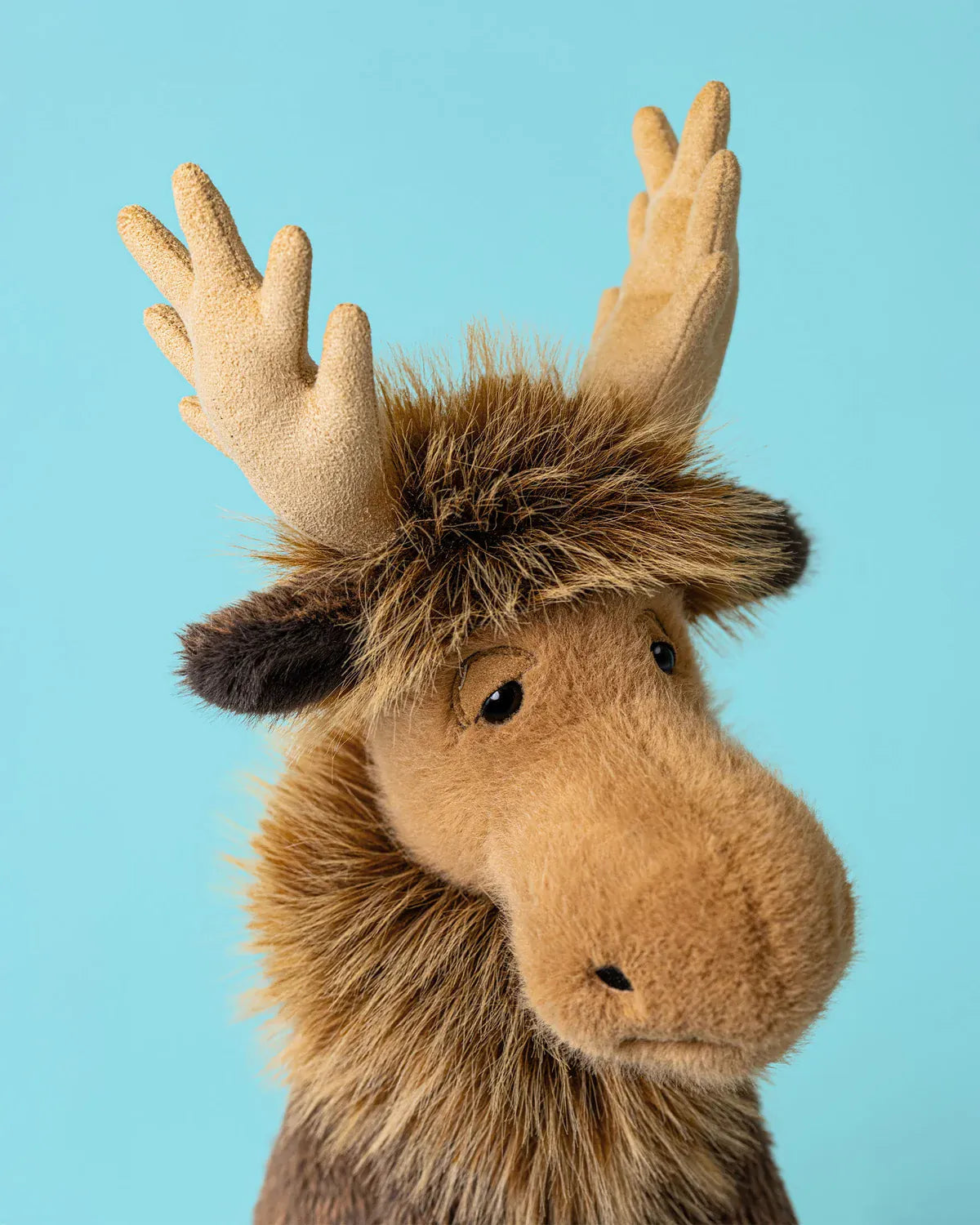 Jellycat Birchly Moose