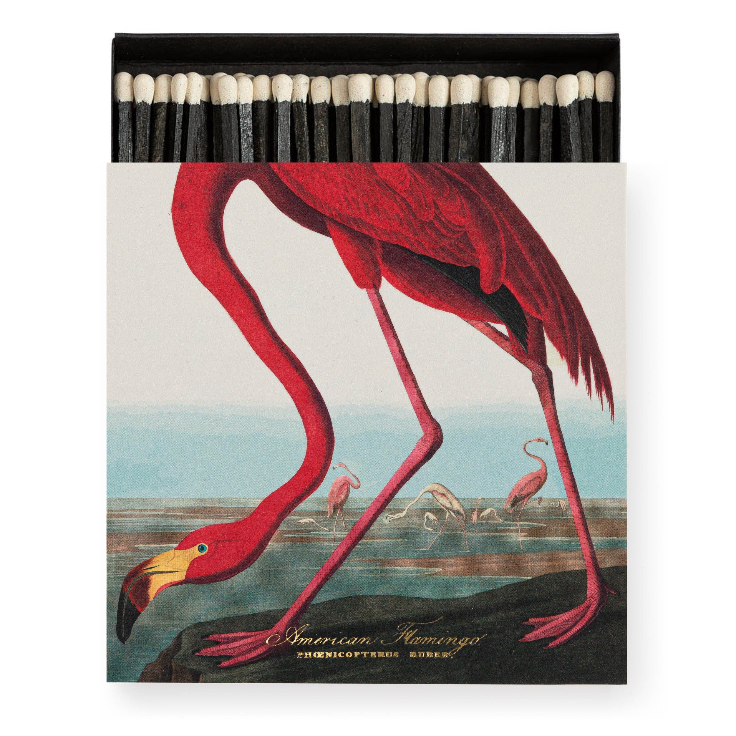 Square Luxury Match Box The American Flamingo by Audubon