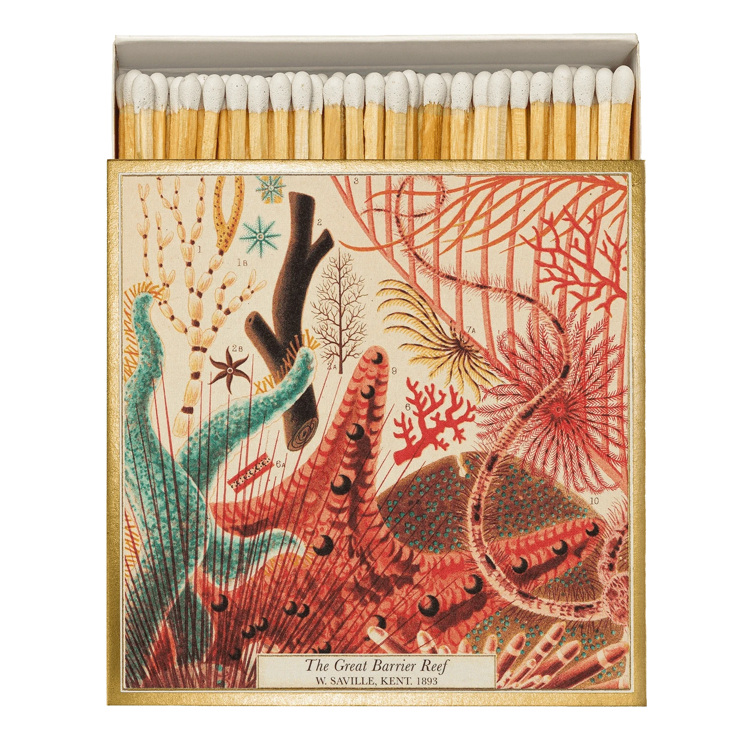 Square Luxury Match Box Great Barrier Reef