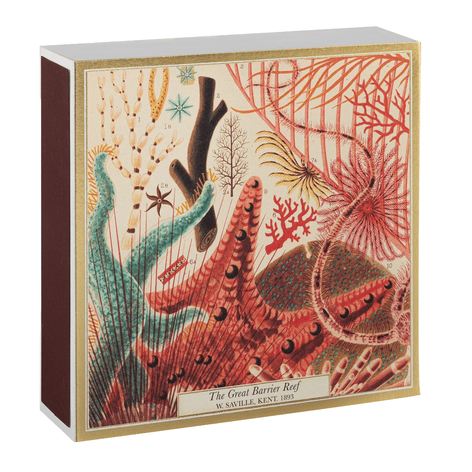Square Luxury Match Box Great Barrier Reef