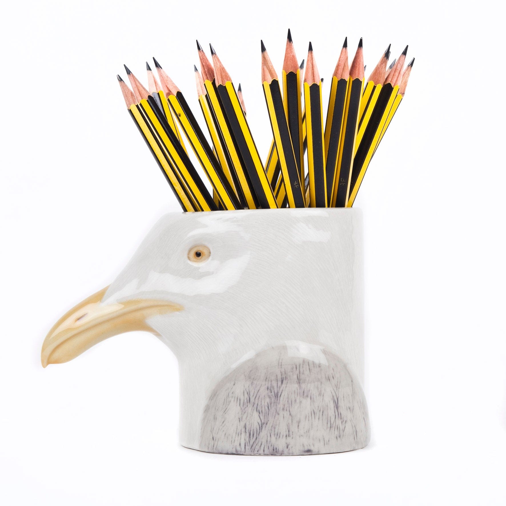 Herring Gull Pencil Pot