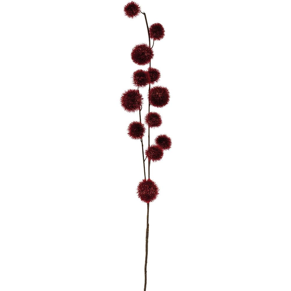 Craspedia stem, Dark Red
