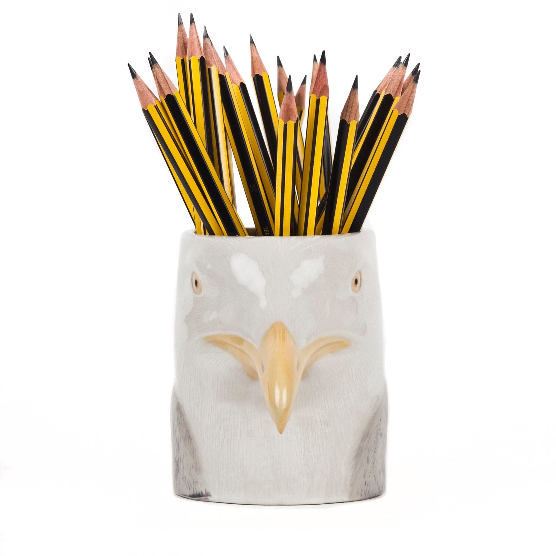 Herring Gull Pencil Pot