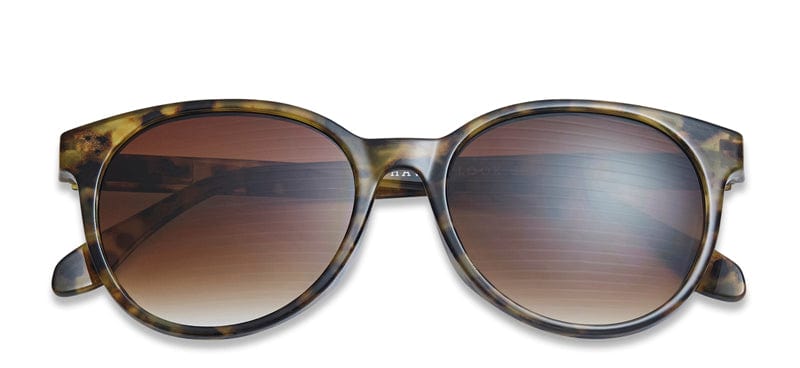 City Tortoise Sunglasses by Have A Look