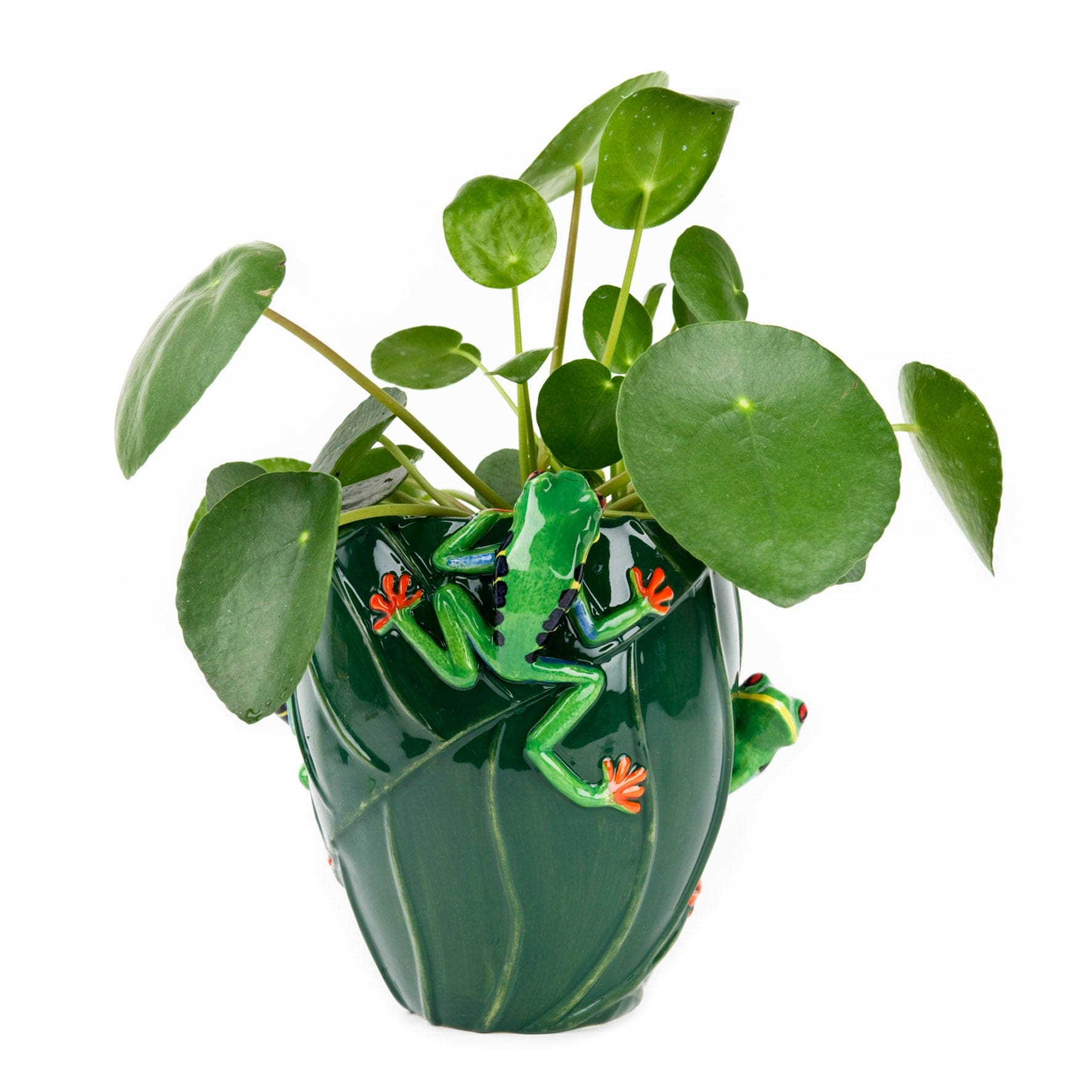 Tree Frog Ceramic Flower Vase
